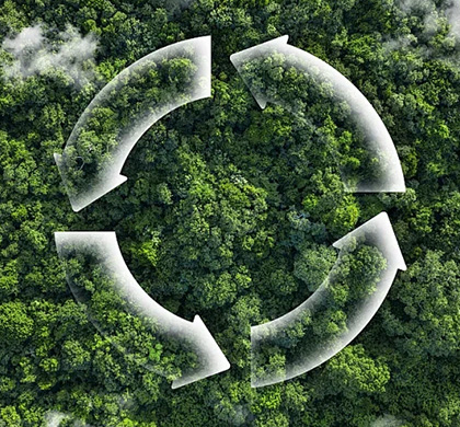 環(huán)保與科技導(dǎo)向